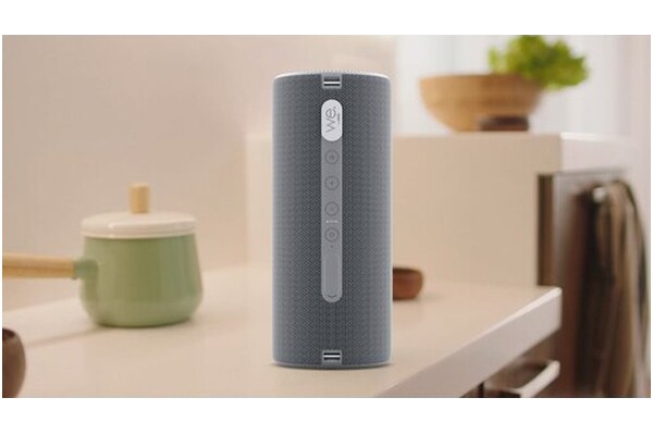 głośnik Bluetooth Loewe We. Hear 2 szary