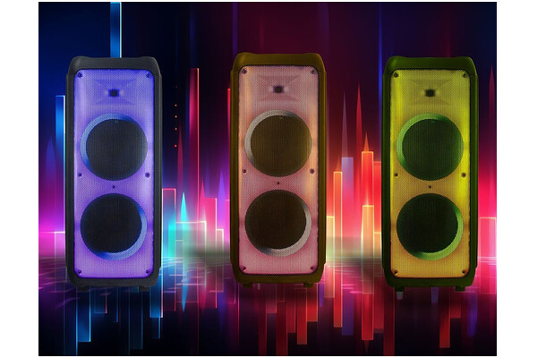 głośnik Bluetooth Manta SPK1202B czarny