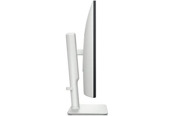 Monitor 27.0" DELL S2725HS czarno-biały
