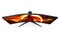 Monitor 34.0" AOC CU34G2XP czarny