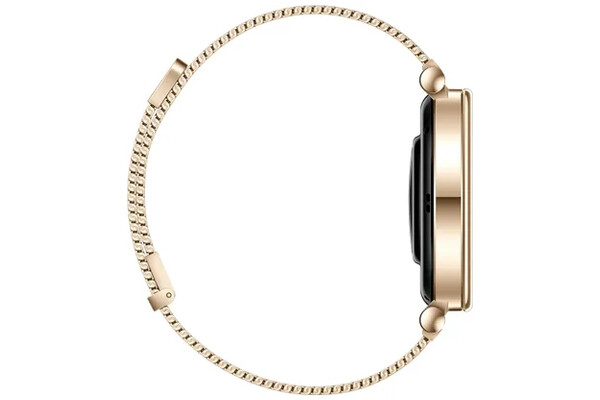 Smartwatch Huawei Watch GT 4 Elegant