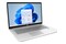 Laptop HP HP 17 17.3" Intel Core i5 1334U INTEL Iris Xe 16GB 1024GB SSD Windows 11 Home srebrny