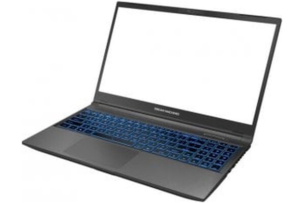 Laptop Dream Machines 15.6" Intel Core i5 13500H NVIDIA GeForce RTX 3050 16GB 512GB SSD M.2 czarny