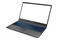 Laptop Dream Machines 15.6" Intel Core i5 13500H NVIDIA GeForce RTX 3050 16GB 512GB SSD M.2 czarny