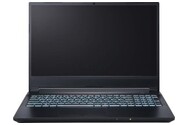 Laptop Dream Machines 15.6" Intel Core i5 13420H NVIDIA GeForce RTX 2050 16GB 512GB SSD M.2 czarny