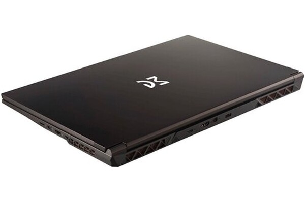 Laptop Dream Machines 17.3" Intel Core i7 14650HX NVIDIA GeForce RTX 4050 16GB 1TB SSD czarny