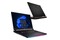 Laptop MSI Raider GE78HX 17.0" Intel Core i9 13980HX NVIDIA GeForce RTX 4080 32GB 2048GB SSD Windows 11 Home czarny