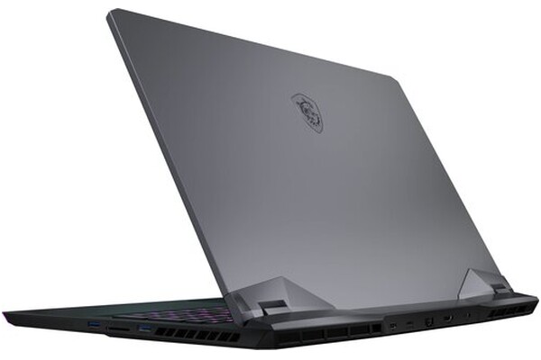Laptop MSI Raider GE76 17.3" Intel Core i9 10980HK NVIDIA GeForce RTX 3080 32GB 2048GB SSD Windows 10 Home srebrny