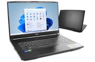 Laptop MSI Katana 17 17.3" Intel Core i7 13620H NVIDIA GeForce RTX 4060 32GB 2048GB SSD Windows 11 Home czarny