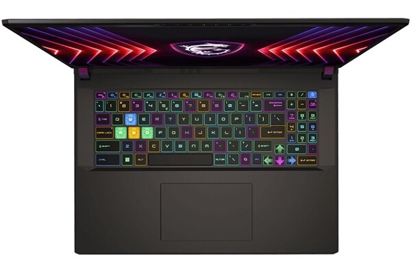 Laptop MSI Vector 17 17.0" Intel Core i9 14900HX NVIDIA GeForce RTX 4070 32GB 1024GB SSD Windows 11 Home szary