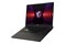 Laptop MSI Vector 17 17.0" Intel Core i9 14900HX NVIDIA GeForce RTX 4070 32GB 1024GB SSD Windows 11 Home szary