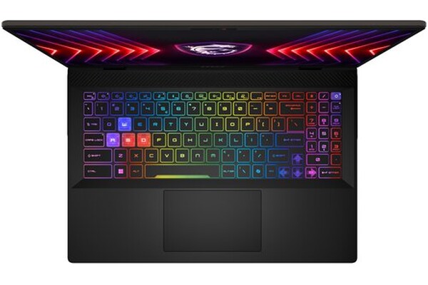 Laptop MSI Sword 16 16.0" Intel Core i7 14700HX NVIDIA GeForce RTX 4070 16GB 1024GB SSD szary
