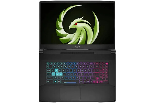 Laptop MSI Bravo 17 17.3" AMD Ryzen 5 7535HS NVIDIA GeForce RTX 4050 16GB 512GB SSD DOS czarny