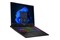 Laptop MSI Sword 16 16.0" Intel Core i7 14650HX NVIDIA GeForce RTX 4060 16GB 1024GB SSD M.2 Windows 11 Home szary