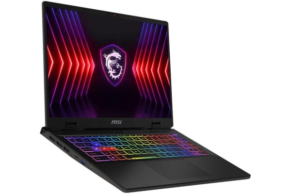 Laptop MSI Sword 16 16.0" Intel Core i7 14650HX NVIDIA GeForce RTX 4060 16GB 1024GB SSD M.2 szary