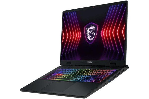 Laptop MSI Sword 16 16.0" Intel Core i7 14650HX NVIDIA GeForce RTX 4060 16GB 1024GB SSD M.2 szary