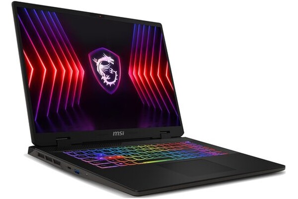 Laptop MSI Sword 17 17.0" Intel Core i7 14650HX NVIDIA GeForce RTX 4060 16GB 1024GB SSD szary
