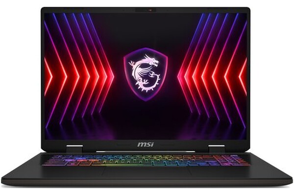 Laptop MSI Sword 17 17.0" Intel Core i7 14650HX NVIDIA GeForce RTX 4060 16GB 1024GB SSD szary