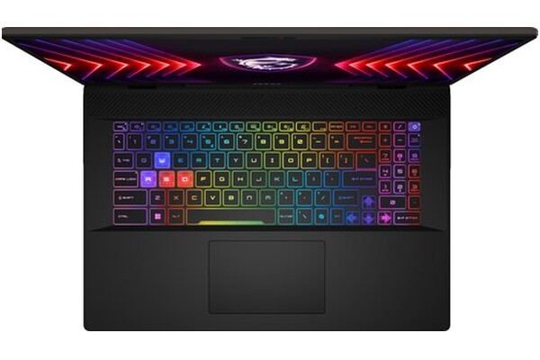Laptop MSI Sword 17 17.0" Intel Core i7 14650HX NVIDIA GeForce RTX 4060 16GB 1024GB SSD szary