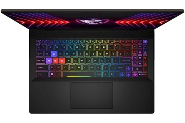 Laptop MSI Sword 16 16.0" Intel Core i7 14650HX NVIDIA GeForce RTX 4060 16GB 1024GB SSD szary