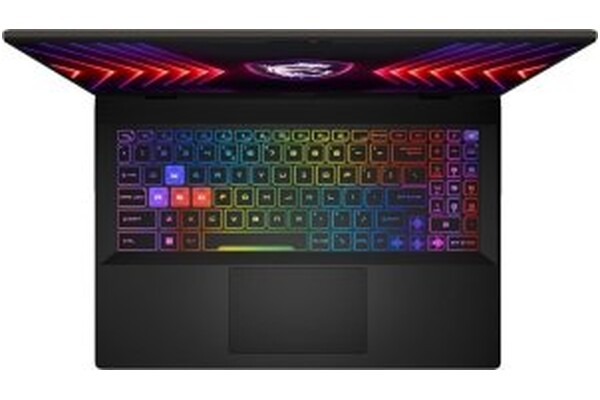 Laptop MSI Sword 16 16.0" Intel Core i7 14650HX NVIDIA GeForce RTX 4060 16GB 1024GB SSD M.2 czarny