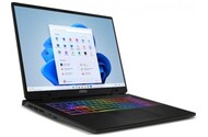 Laptop MSI Sword 17 17.0" Intel Core i7 14650HX NVIDIA GeForce RTX 4060 16GB 1024GB SSD Windows 11 Home szary