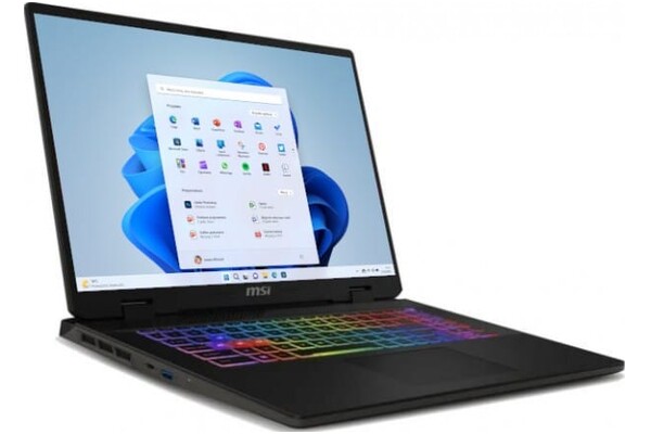 Laptop MSI Sword 17 17.0" Intel Core i7 14650HX NVIDIA GeForce RTX 4060 16GB 1024GB SSD Windows 11 Home szary