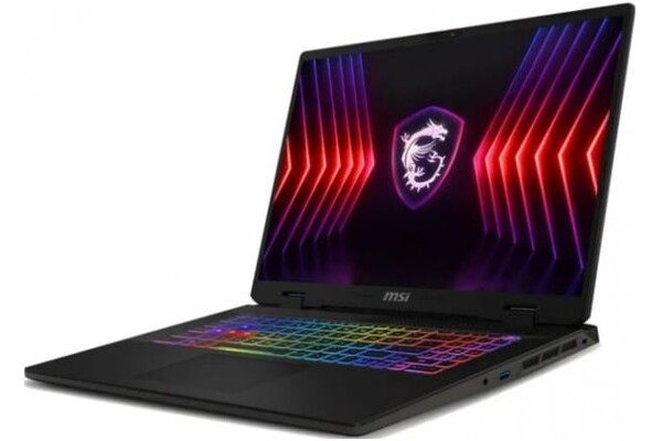 Laptop MSI Sword 17 17.0" Intel Core i7 14650HX NVIDIA GeForce RTX 4060 16GB 1024GB SSD Windows 11 Home szary