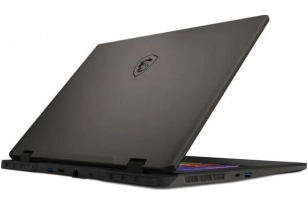 Laptop MSI Sword 17 17.0" Intel Core i7 14650HX NVIDIA GeForce RTX 4060 16GB 1024GB SSD Windows 11 Home szary