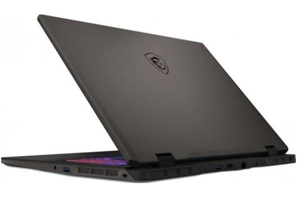 Laptop MSI Sword 17 17.0" Intel Core i7 14650HX NVIDIA GeForce RTX 4060 16GB 1024GB SSD Windows 11 Home szary