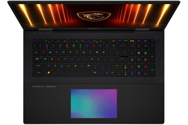Laptop MSI Titan 18 18.0" Intel Core Ultra 9 285HX NVIDIA GeForce RTX 5080 64GB 6144GB SSD Windows 11 Professional czarno-szary