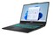 Laptop MSI Cyborg 15 15.6" Intel Core i5 13420H NVIDIA GeForce RTX 4060 64GB 1024GB SSD Windows 11 Home czarny