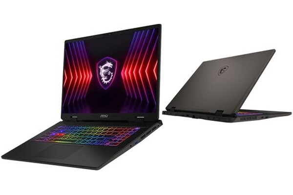 Laptop MSI Sword 17 17.0" Intel Core i9 14900HX NVIDIA GeForce RTX 4070 16GB 1024GB SSD szary