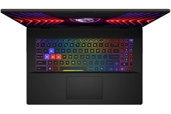 Laptop MSI Sword 17 17.0" Intel Core i9 14900HX NVIDIA GeForce RTX 4070 16GB 1024GB SSD szary