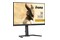 Monitor 27.0" IIYAMA GB2795HSU-B1 czarny