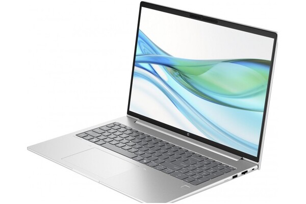 Laptop HP ProBook 465 G11 16.0" AMD Ryzen 5 7535U AMD Radeon 660M 16GB 2048GB SSD Windows 11 Home srebrny