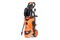 Myjka ciśnieniowa NAC PWE220-PC-LN