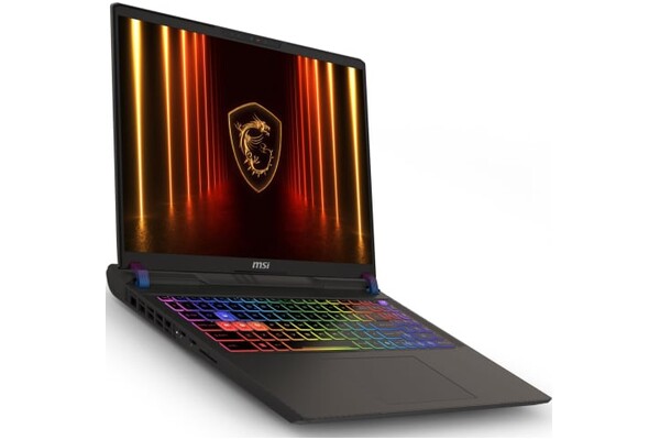 Laptop MSI Vector 16 16.0" Intel Core Ultra 9 275HX NVIDIA GeForce RTX 5070 Ti 32GB 1024GB SSD M.2 Windows 11 Home szary