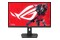 Monitor 27.0" ASUS XG27ACMG czarny