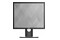 Monitor 19.0" DELL P1917S czarny