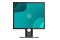 Monitor 19.0" DELL P1917S czarno-srebrny