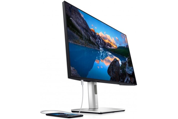 Monitor 24.0" DELL U2421E srebrny
