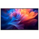 Monitor 27.0" DELL P2425HWO czarny