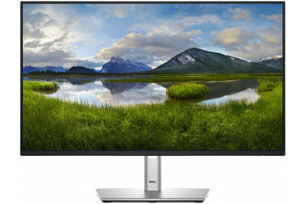 Monitor 24.0" DELL P2425HE