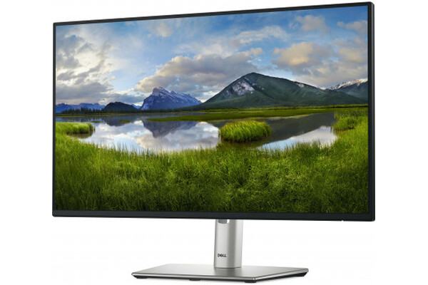 Monitor 24.0" DELL P2425H