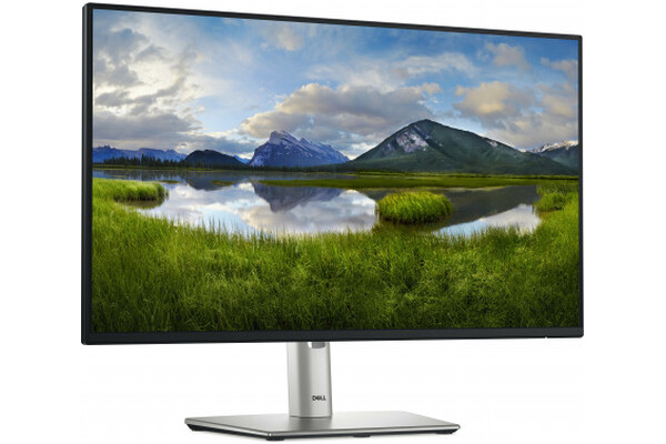 Monitor 24.0" DELL P2425H
