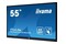 Monitor 55.0" IIYAMA TE5503MIS-B2AG czarny