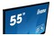 Monitor 55.0" IIYAMA TE5503MIS-B2AG czarny