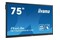 Monitor 75.0" IIYAMA TE7502MIS-B1AG czarny