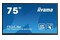 Monitor 75.0" IIYAMA TE7504MIS-B2AG czarny